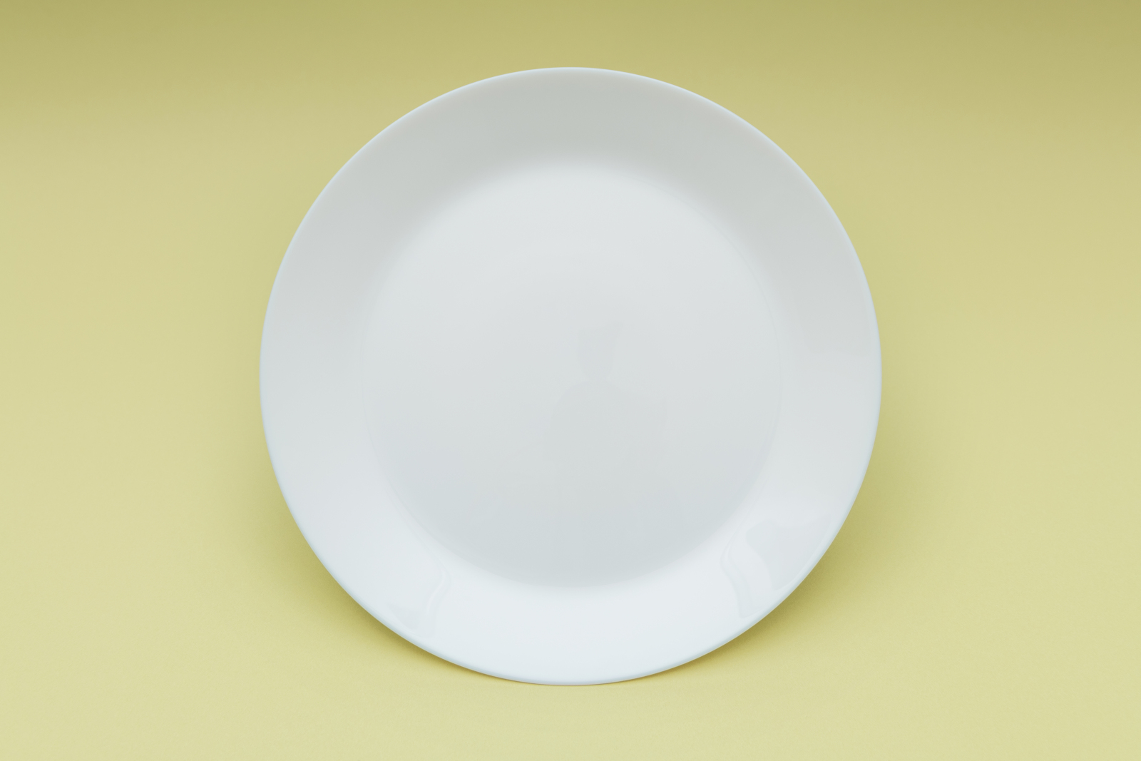 Dinner Plates
